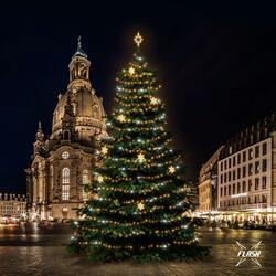 LED světelná sada na stromy vysoké 18-20m, teplá bílá s Flash, dekory EFD05W