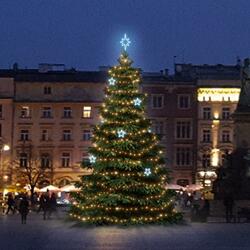 LED světelná sada na stromy vysoké 6-8m, teplá bílá s ledově bílými dekory EFD11