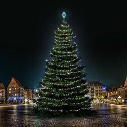 LED světelná sada na stromy vysoké 21-23m, dual