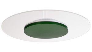 Deko-Light stropní přisazené svítidlo Zaniah 24W, kryt listová zelená 220-240V AC/50-60Hz 24,00 W 3000 K 2567,93 lm bílá 620051