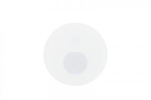 Deko-Light příslušenství - kryt kulaté sklo pro Alwaid Pro, polokruhový kužel světla, bílá 931037