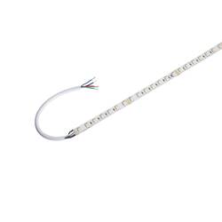 BIG WHITE GRAZIA PRO FLEXSTRIP 24 V 12 mm RGBW 1004727