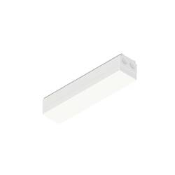 BIG WHITE (SLV) EASYLIGHT FIB 300 5 25 WH Feed in Box 300mm, 5 pole, 2,5mm2 1009230