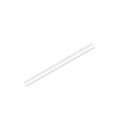 BIG WHITE (SLV) BATTEN P 1200 52 830/840/850 WH EM 3H 1009253