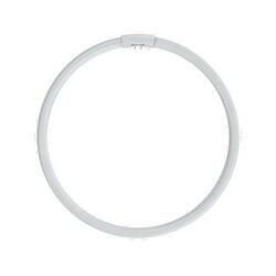 NBB LC 32W T5/840 G10q 116332002