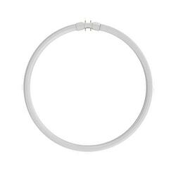 NBB LC 32W T5/840 2GX13 116632002