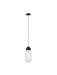 NOVA LUCE závěsné svítidlo BLAKY matný černý kov a opálové sklo E14 1x5W bez žárovky 9092824