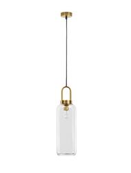 NOVA LUCE závěsné svítidlo IRVINE čiré sklo černý kabel mosazný zlatý kov E27 1x12W 230V IP20 bez žárovky 9241160