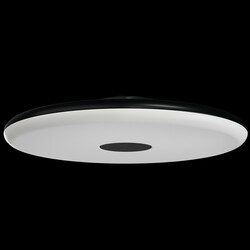 OSMONT ZET60514 ZETA 2 FP stropní/nástěnné plastové svítidlo černá IP40 4000 K 38W LED