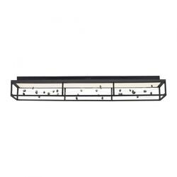 PAUL NEUHAUS LED stropní svítidlo SKINA, černá, stmívatelné, dálkový ovladač, paměťová funkce 2700-5000K