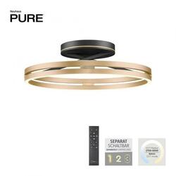 PAUL NEUHAUS Stropní svítidlo PURE Loop LED 7W 2700-5000K + LED 30W 2700-5000K černá/zlatá slonová kost 6552-68