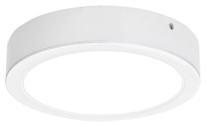 Rabalux stropní svítidlo Shaun LED 12W 3171