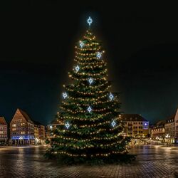 LED světelná sada na stromy vysoké 21-23m, teplá bílá s ledově bílými dekory EFD09S2