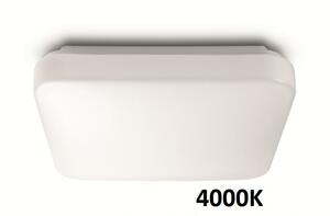 LED Stropní svítidlo Philips Mauve 31110/31/P3 bílé 4000K