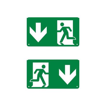 LEDVANCE nouzové svítidlo EM EXIT PICTO šipka dolů