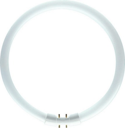 Philips kruhová MASTER TL5 Circular 60W/840 2GX13