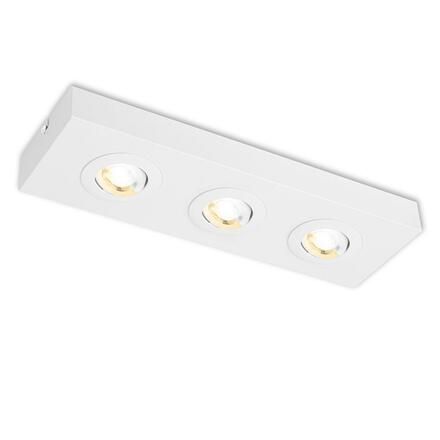 BRILONER CTS LED stropní svítidlo, 38,5 cm, 4W, 460lm, bílé BRI 3996036