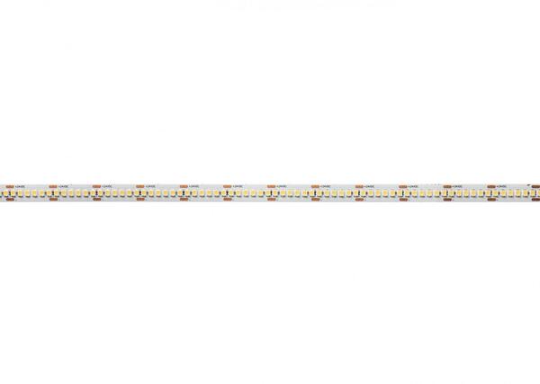 Deko-Light flexibilní LED pásek 3528-240-24V-4000K-50m 24V DC 20,00 W/m 4000 K 1770 lm/m 50000 mm 930515