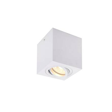 BIG WHITE TRILEDO Single vnitřní stropní nástavbové svítidlo, QPAR51, bílá, max. 10W 1002015