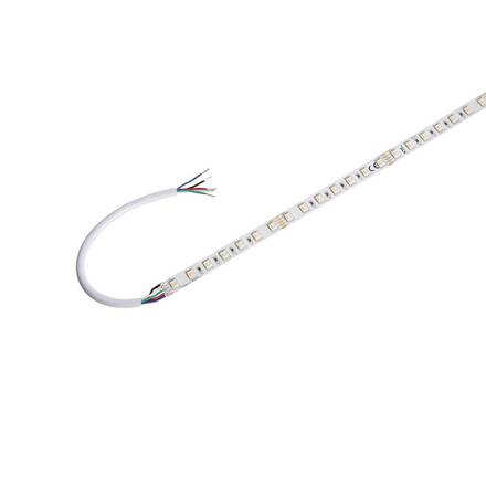 BIG WHITE GRAZIA PRO FLEXSTRIP 24 V 12 mm RGBW 1004727