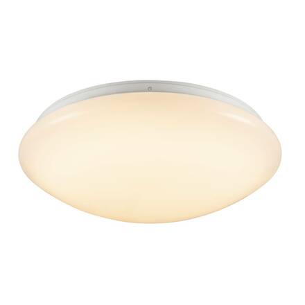 BIG WHITE (SLV) SURFACE V 390 10/15/20W 830/840 IP44 1007516