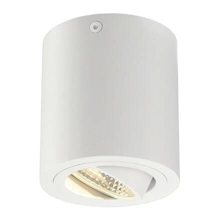 BIG WHITE TRILEDO ROUND CL, stropní svítidlo, LED, 3000K, kulaté, bílé, 38°, 8,2 W, vč. ovladače 113931