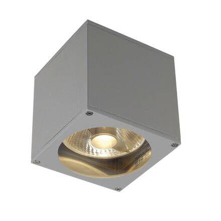 BIG WHITE BIG THEO WALL, venkovní nástěnné svítidlo, QPAR111, IP44, hranaté, stříbrošedé, max. 75 W 229564