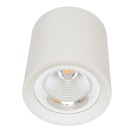 Ecolite Svítidlo přisazené, COB, 30W, 4100K, bílé MZ-DL-30W/BI