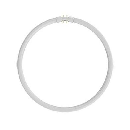 NBB LC 32W T5/840 2GX13 116632002