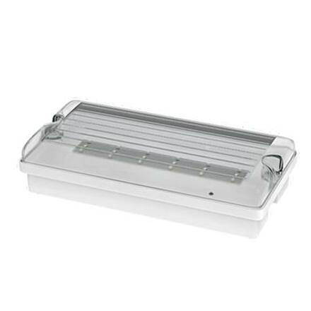 NBB FLAT 12LED Em3h DP/TP IP65 clear + piktogram 910121100