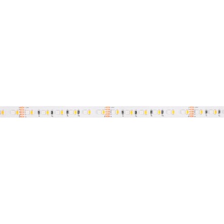SLC LED pásek HO 16W/m 1260lm/m RGBW-3000K Ra80 24V IP20 5m