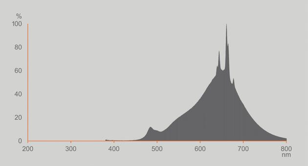 LEDVANCE LED žárovka Vintage 1906 Globe Heart 8 W E27 2200 K stmívatelná