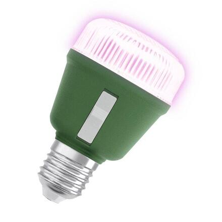 LEDVANCE LED Star Grow Lamp T 60 10W Clear E27 4058075845787