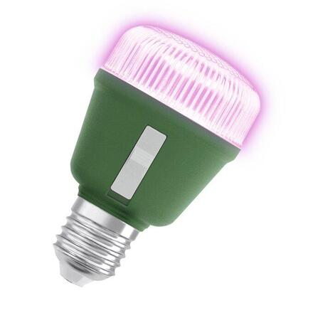 LEDVANCE LED Star Grow Lamp T 60 10W Clear E27 4058075845787