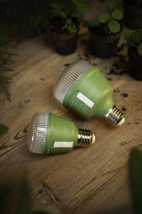 LEDVANCE LED Star Grow Lamp T 60 10W Clear E27 4058075845787