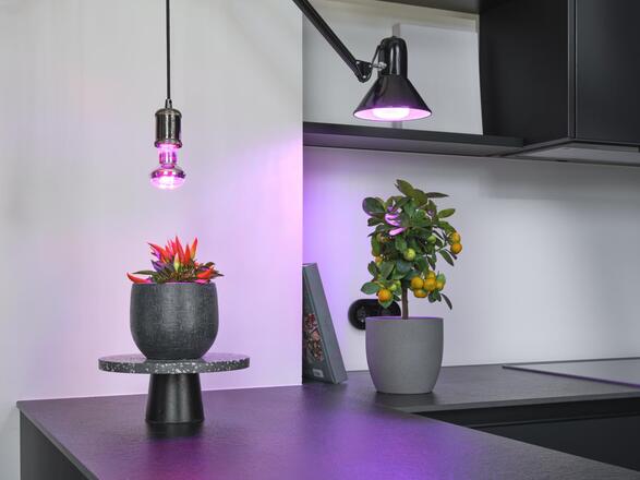 LEDVANCE LED Star Grow Lamp T 80 20W čirá E27 4058075845800