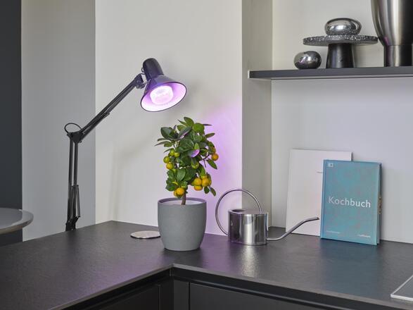 LEDVANCE LED Star Grow Lamp T 80 20W čirá E27 4058075845800