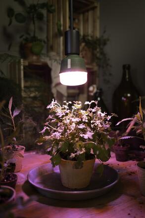 LEDVANCE LED Star Grow Lamp T 80 20W čirá E27 4058075845800