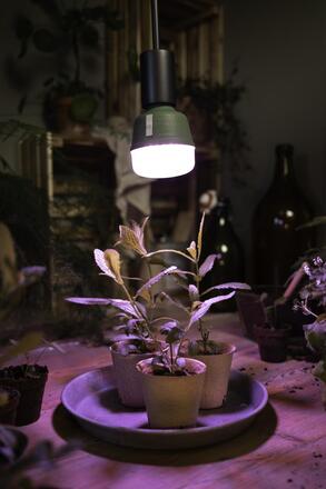 LEDVANCE LED Star Grow Lamp T 80 20W čirá E27 4058075845800