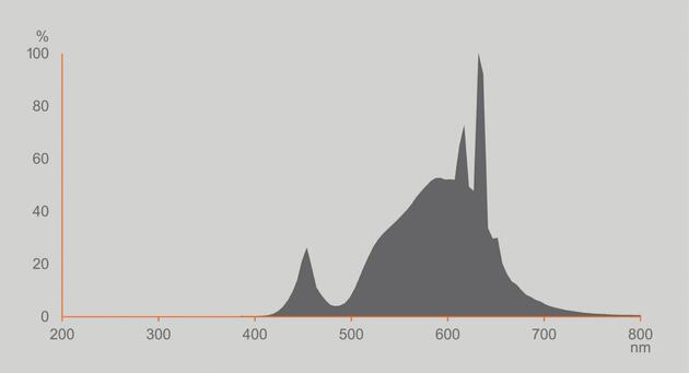 LEDVANCE LED Classic Globe 95 60 Filament třída A S 3.8W 827 matná E27 4099854237010