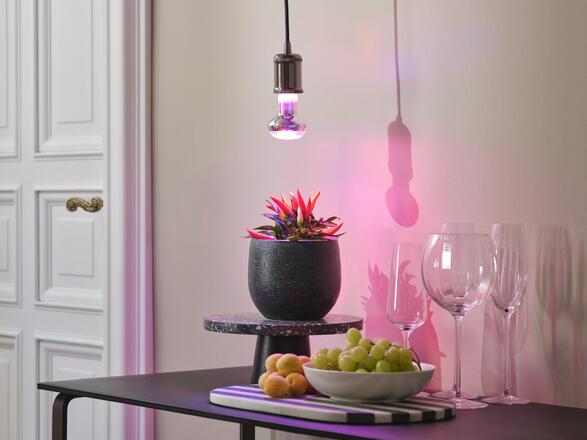 LEDVANCE LED žárovka Star Grow Lamp 7,5 W E27 220-240 V 1300 K 100°