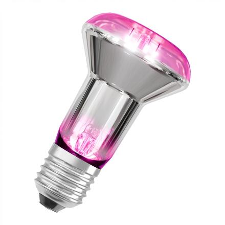 LEDVANCE LED žárovka Star Grow Lamp 7,5 W E27 220-240 V 1300 K 100°