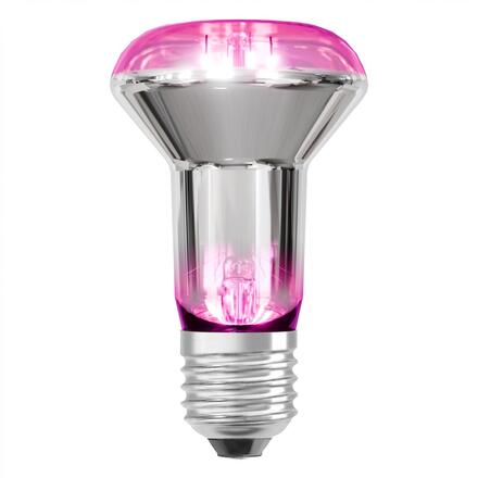 LEDVANCE LED žárovka Star Grow Lamp 7,5 W E27 220-240 V 1300 K 100°