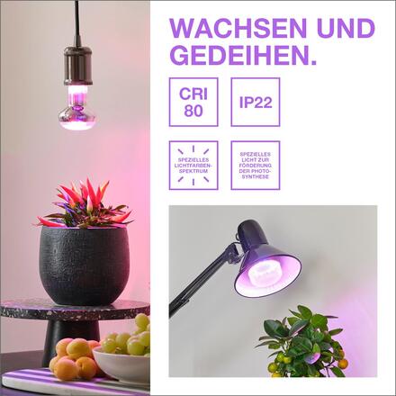 LEDVANCE LED žárovka Star Grow Lamp 7,5 W E27 220-240 V 1300 K 100°