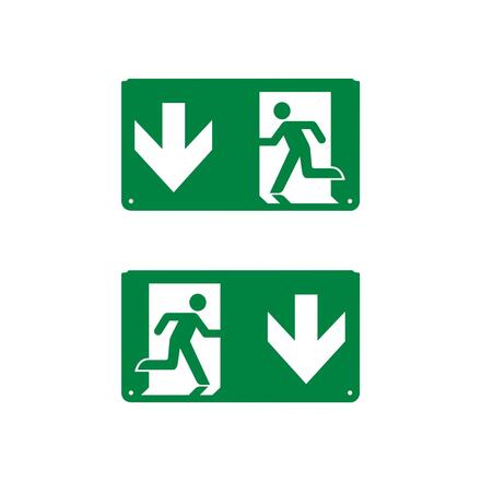 LEDVANCE nouzové svítidlo EM EXIT PICTO šipka dolů