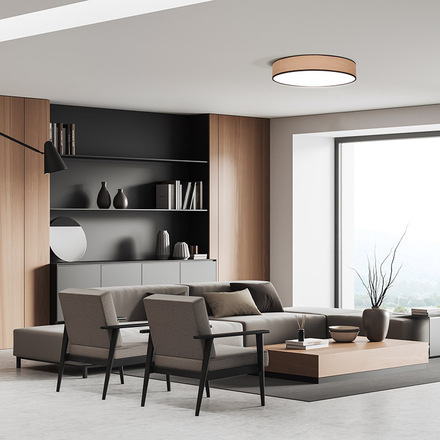 Solight LED osvětlení s dálkovým ovladačem Brownie, 60W, 4200lm, 50cm, změna chromatičnosti, stmívatelné WO8004
