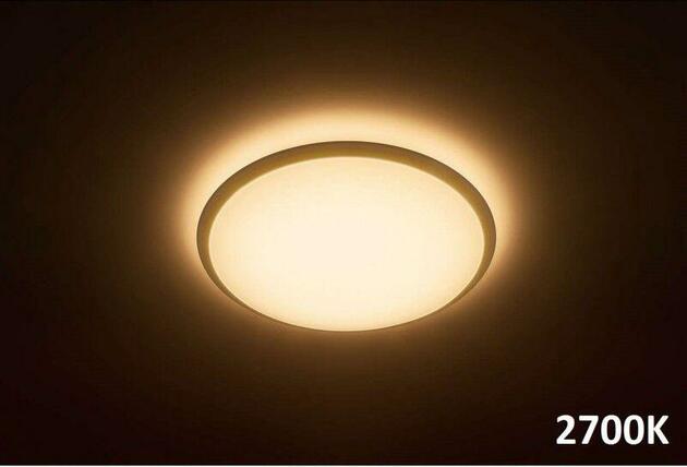 LED Stropní/ nástěnné svítidlo Philips Wawel 31821/31/P5 17W 35cm