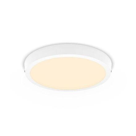 LED Stropní přisazené svítidlo Philips Magneos 8719514328754 20W 2000lm 2700K IP20 28,6cm kulaté bílé