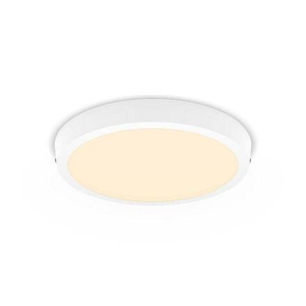 LED Stropní přisazené svítidlo Philips Magneos 8719514328754 20W 2000lm 2700K IP20 28,6cm kulaté bílé