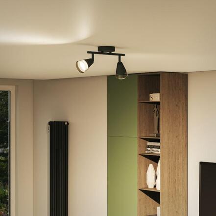 Philips Cleft bodové svítidlo 2x GU10 5W bez zdroje 27,5cm IP20, černé